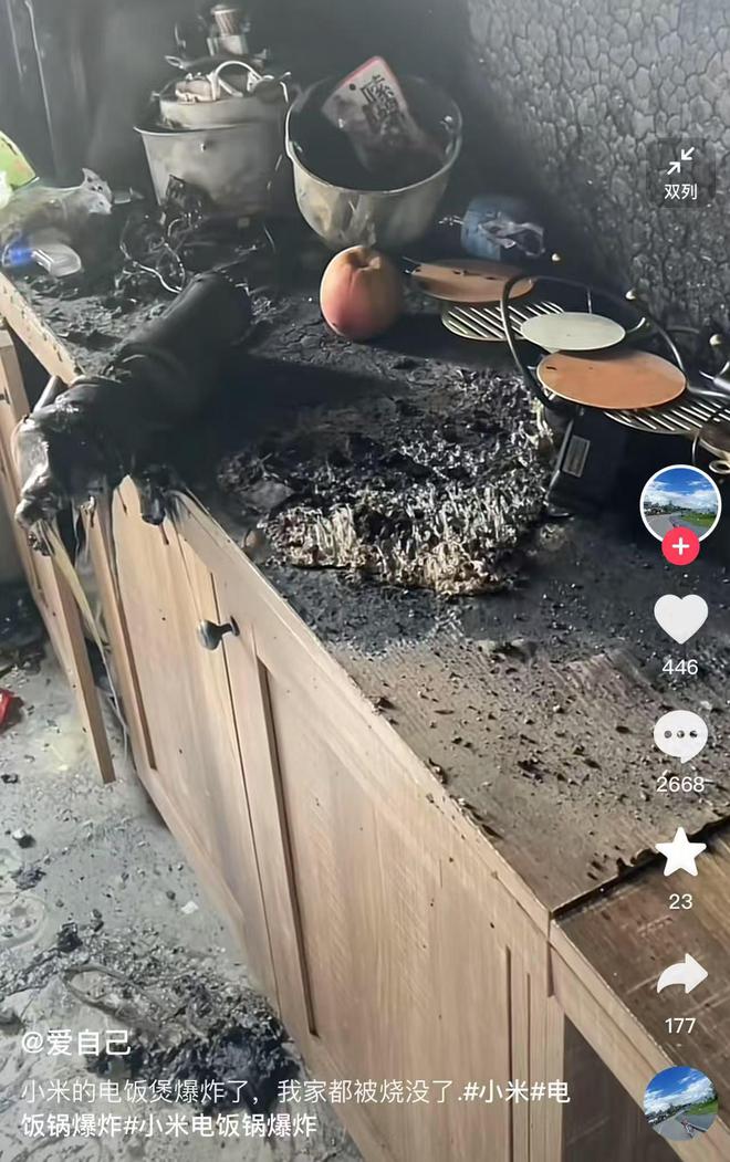 饭煲炸了把家都给烧没了网友称自己买的小米电