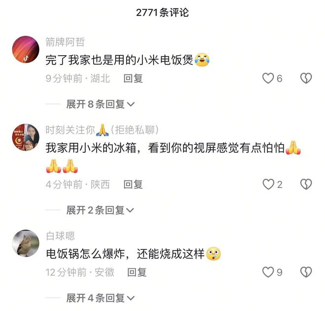 饭煲炸了把家都给烧没了网友称自己买的小米电(图2)